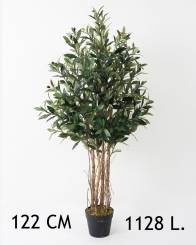 031 Veštačka stabla masline